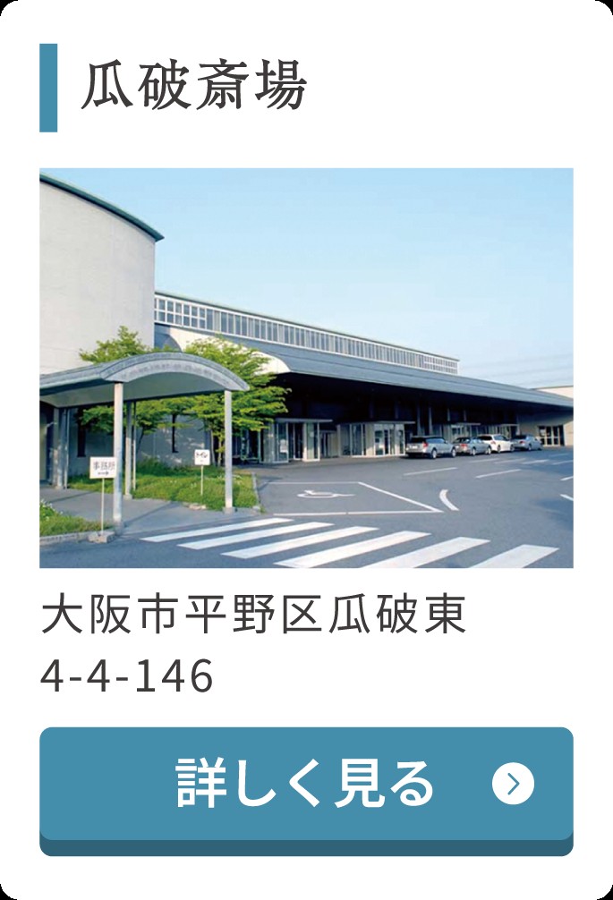 プラズマミスト